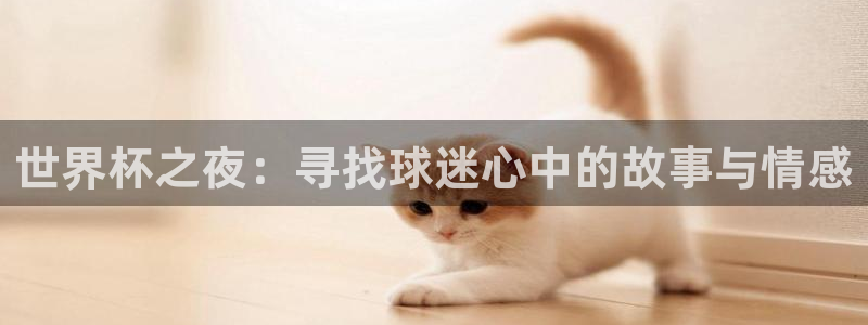 2026年世界杯直播平台:世界杯之夜:寻找球迷心中的故事与情感