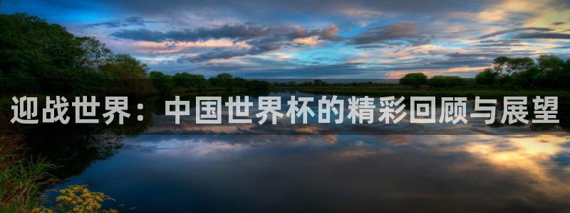 世界杯直播免费观看:迎战世界:中国世界杯的精彩回顾与展望