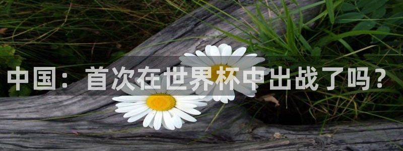 世界杯赛程表:中国:首次在世界杯中出战了吗?