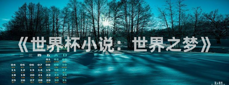 2026世界杯预选赛:《世界杯小说:世界之梦》