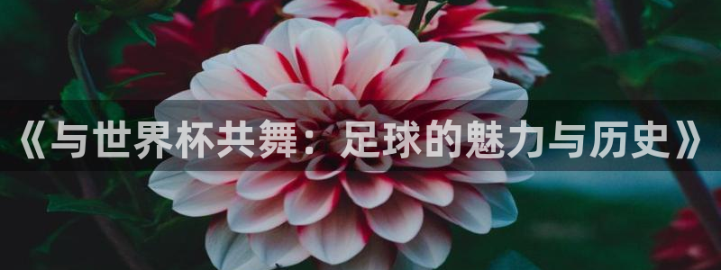 世界杯预选赛欧洲:《与世界杯共舞:足球的魅力与历史》