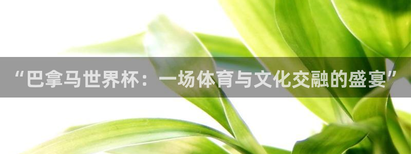 足球世界杯2026年赛程时间表:“巴拿马世界杯:一场体育与文化交融的盛宴”