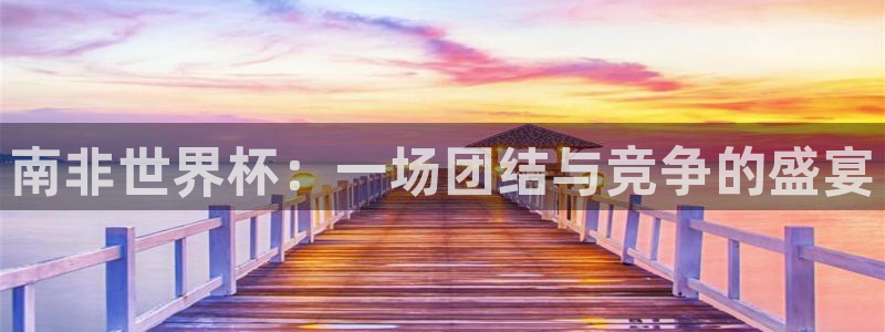 2026世界杯中国队:南非世界杯:一场团结与竞争的盛宴