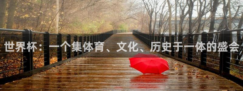2026世界杯赛程时间表最新:世界杯:一个集体育、文化、历史于一体的盛会